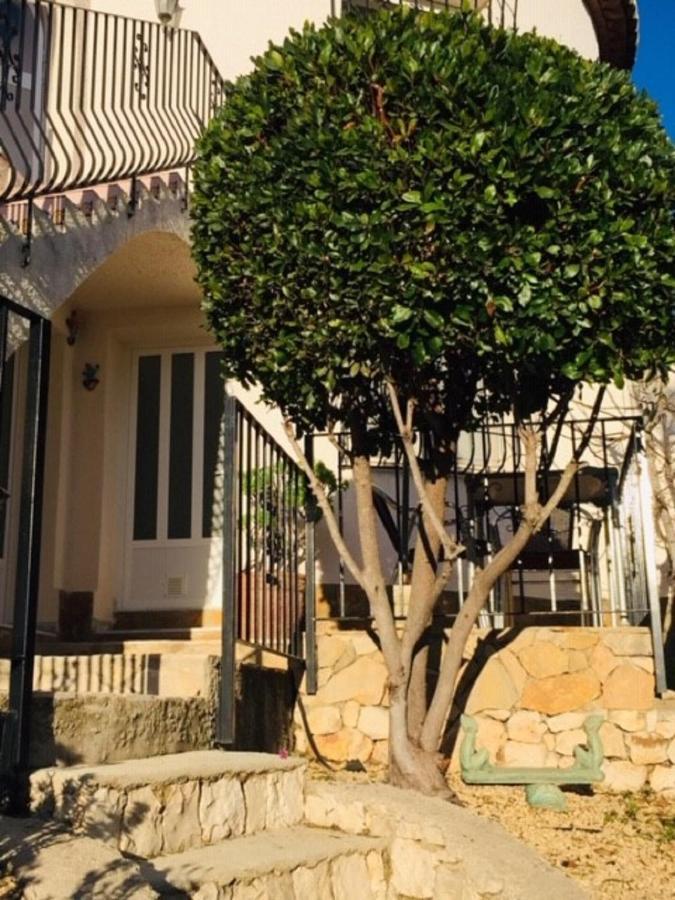 One Bed Apartment Overlooking Jalon Valley, Costa Blanca Alcalalí Exteriör bild