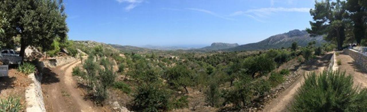 One Bed Apartment Overlooking Jalon Valley, Costa Blanca Alcalalí Exteriör bild