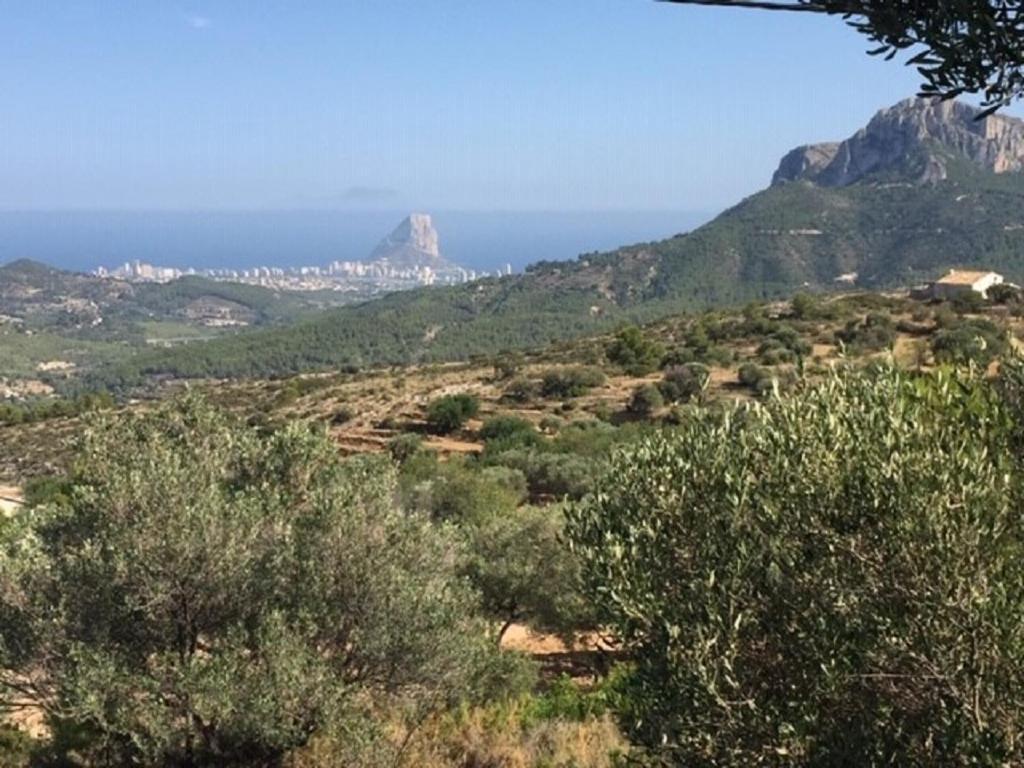 One Bed Apartment Overlooking Jalon Valley, Costa Blanca Alcalalí Exteriör bild