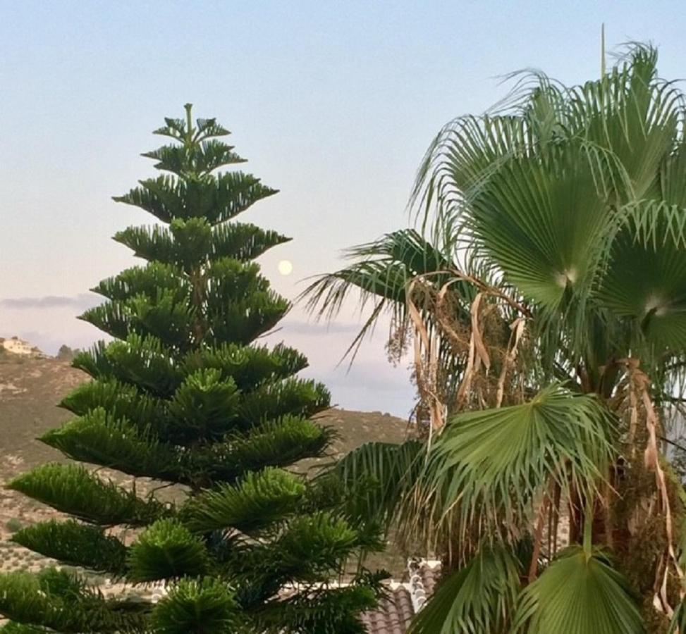 One Bed Apartment Overlooking Jalon Valley, Costa Blanca Alcalalí Exteriör bild